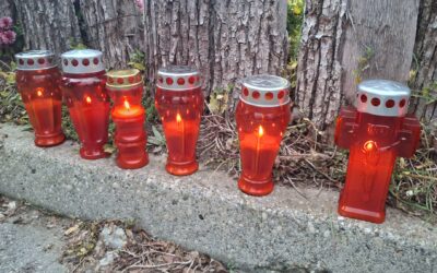 Obilježavanje Dana sjećanja na žrtve Domovinskog rata te Dana sjećanja na žrtvu Vukovara i Škabrnje